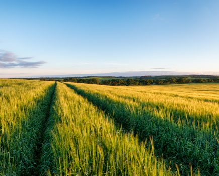 Only 30% to 50% of average April rainfall fell