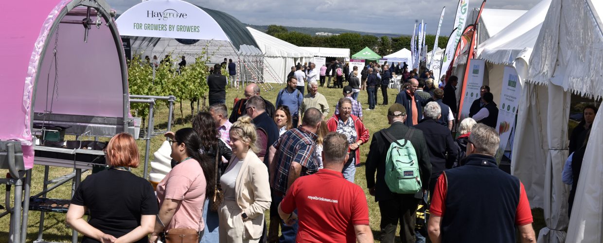 Knowledge exchange and professional development at Fruit Focus