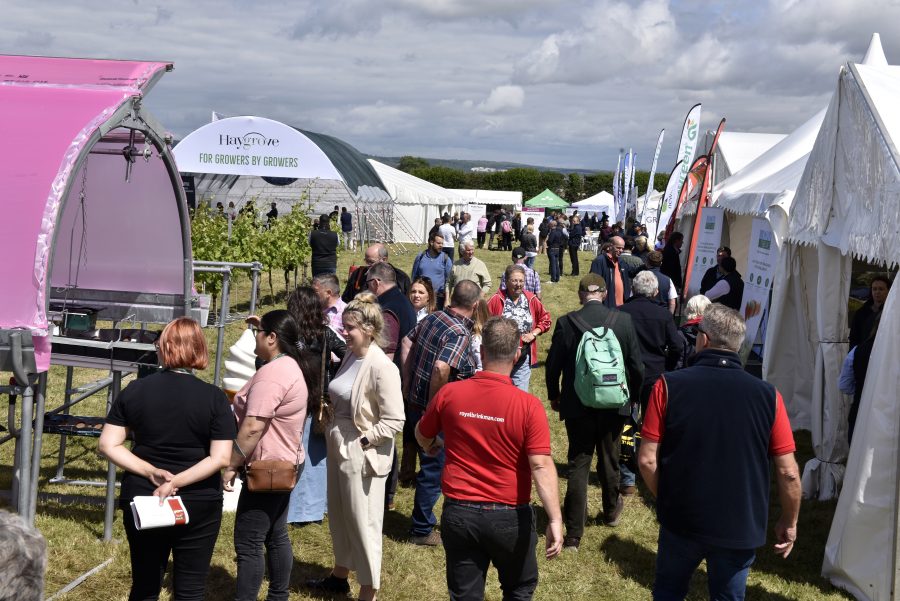 Knowledge exchange and professional development at Fruit Focus
