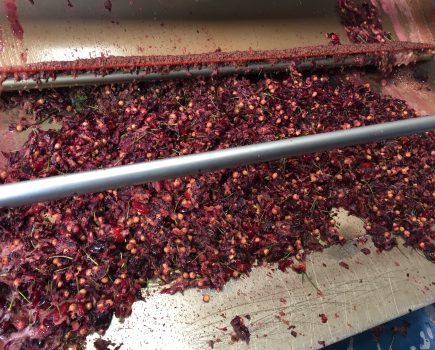 Turning dust into gold: finding value in cherries