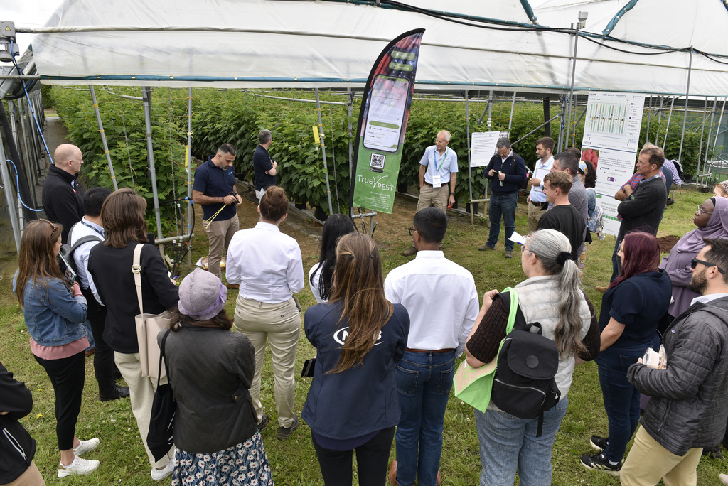 Innovations and ideas at Fruit Focus