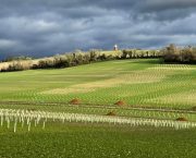 Historic farmland to be restored to nature