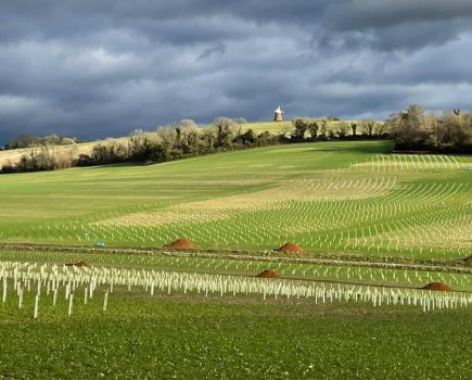Historic farmland to be restored to nature