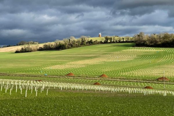 Historic farmland to be restored to nature
