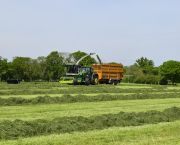 Plan ahead to unlock maximum energy from your grass silage