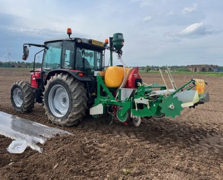 Managing maize to maximise yields