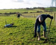 Five million trees and counting