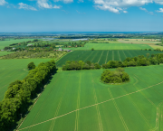 A rare agricultural gem in the heart of Kent