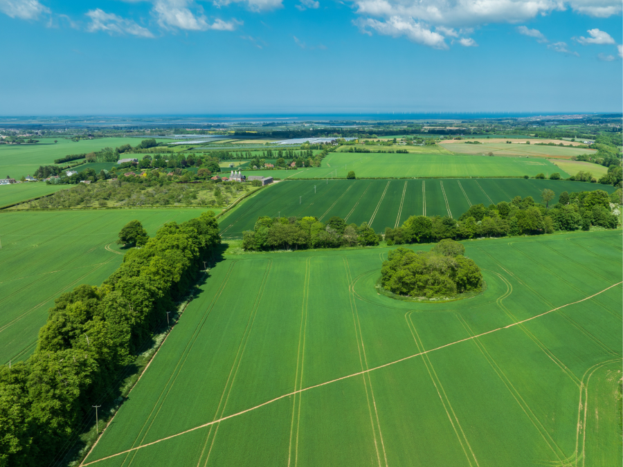 A rare agricultural gem in the heart of Kent
