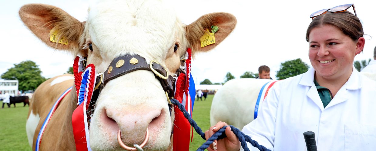 Livestock, learning and pride at the South of England Show