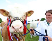 Livestock, learning and pride at the South of England Show