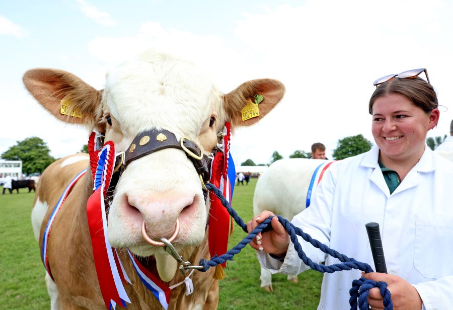 Livestock, learning and pride at the South of England Show