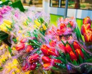 SARAH CALCUTT: Controls on EU fruit and vegetables delayed