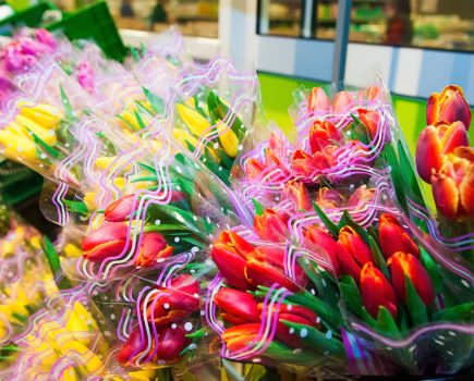 SARAH CALCUTT: Controls on EU fruit and vegetables delayed