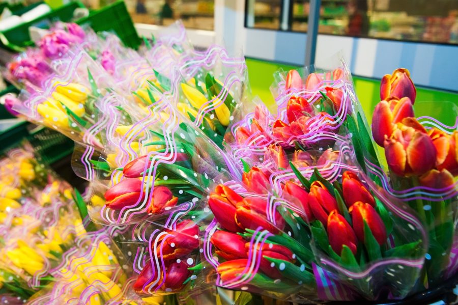 SARAH CALCUTT: Controls on EU fruit and vegetables delayed