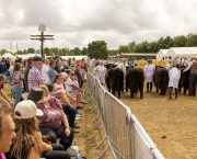Celebrating the best of Kent
