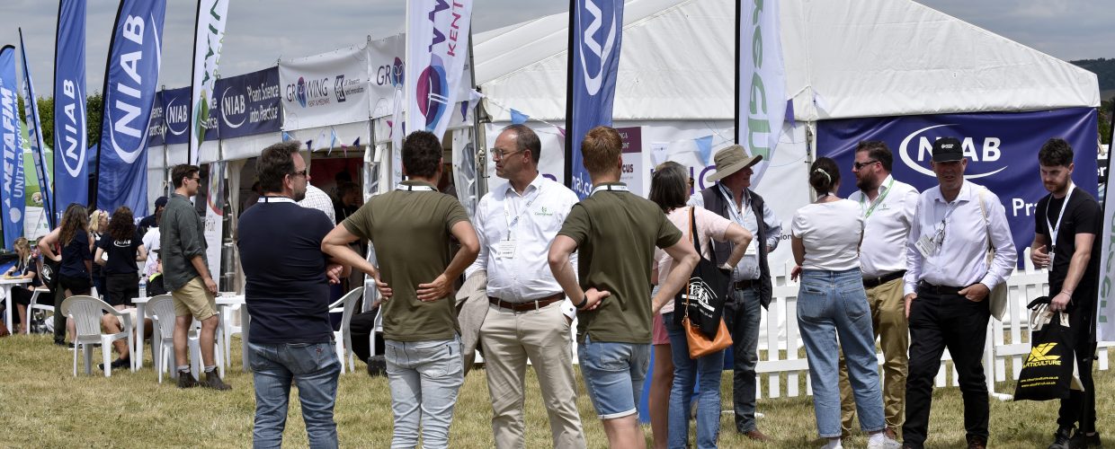Innovation could solve fruit industry’s challenges