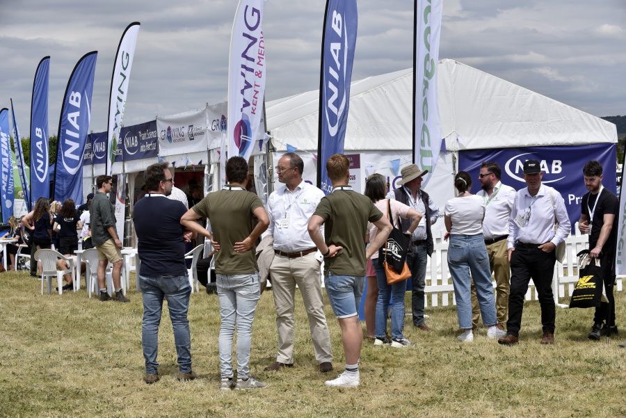 Innovation could solve fruit industry’s challenges