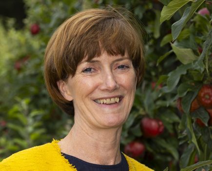 ‘Pivotal moment’ for top fruit sector