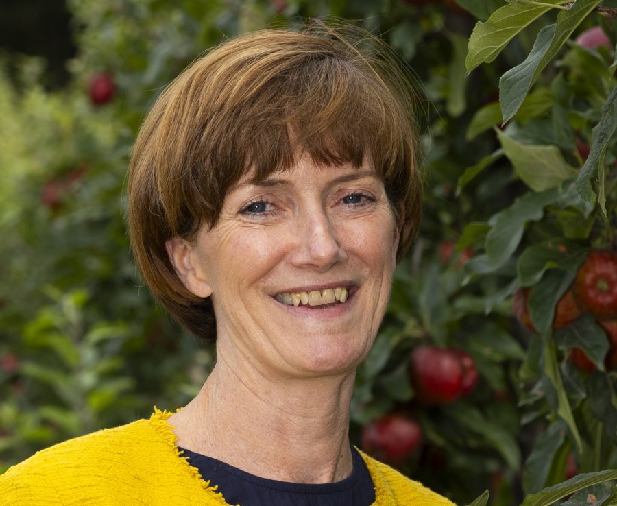 ‘Pivotal moment’ for top fruit sector