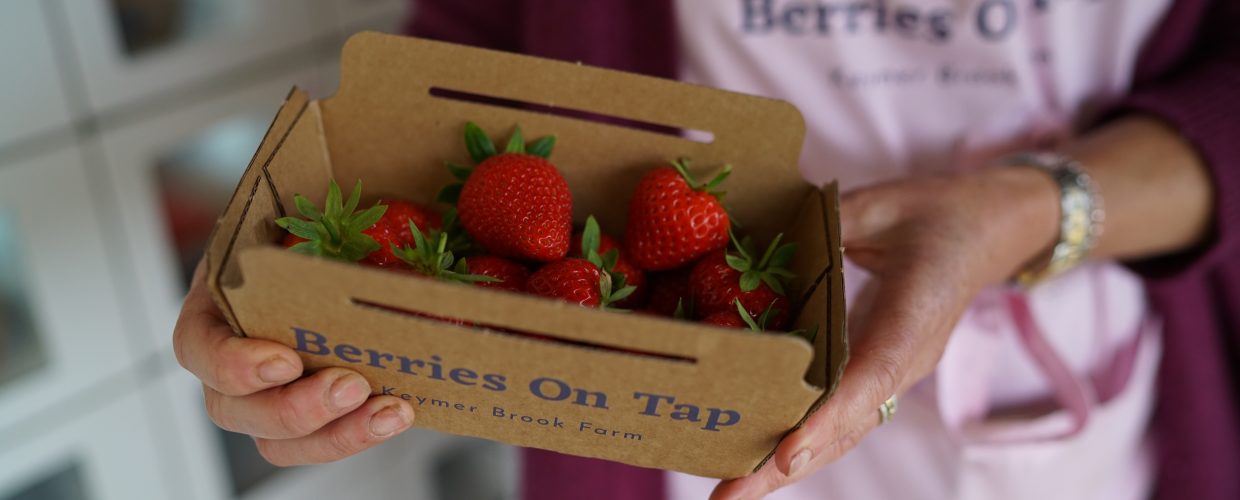 Reinventing soft fruit with Berries on Tap