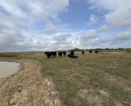 MONICA AKEHURST: Will we get rain, or will it pass us by?