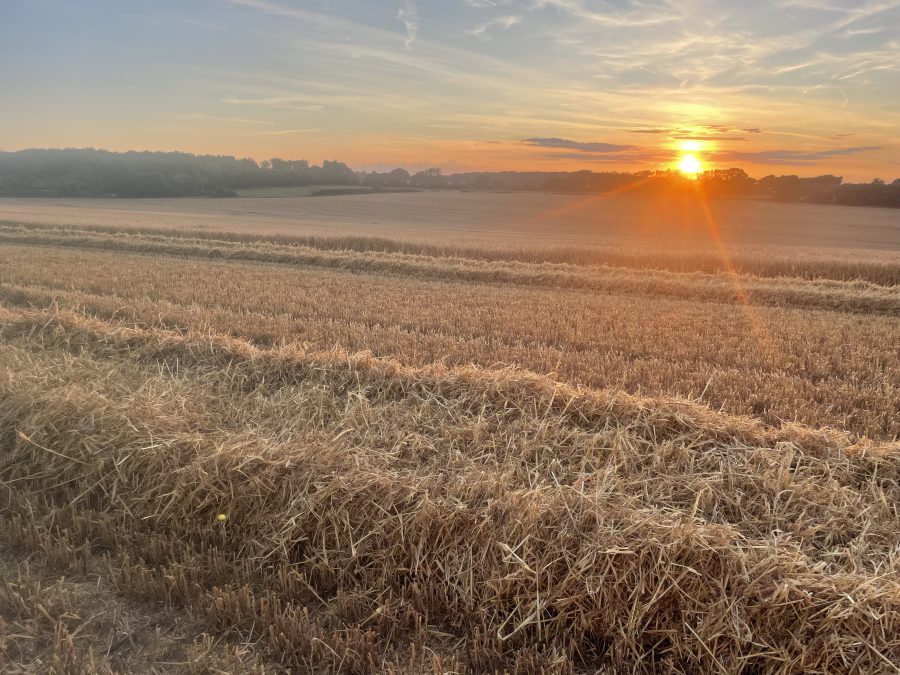 ANITA HICKSON: Many straw-for-muck deals